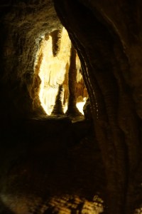 DSC06800
