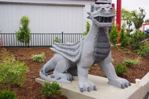 DSC07365