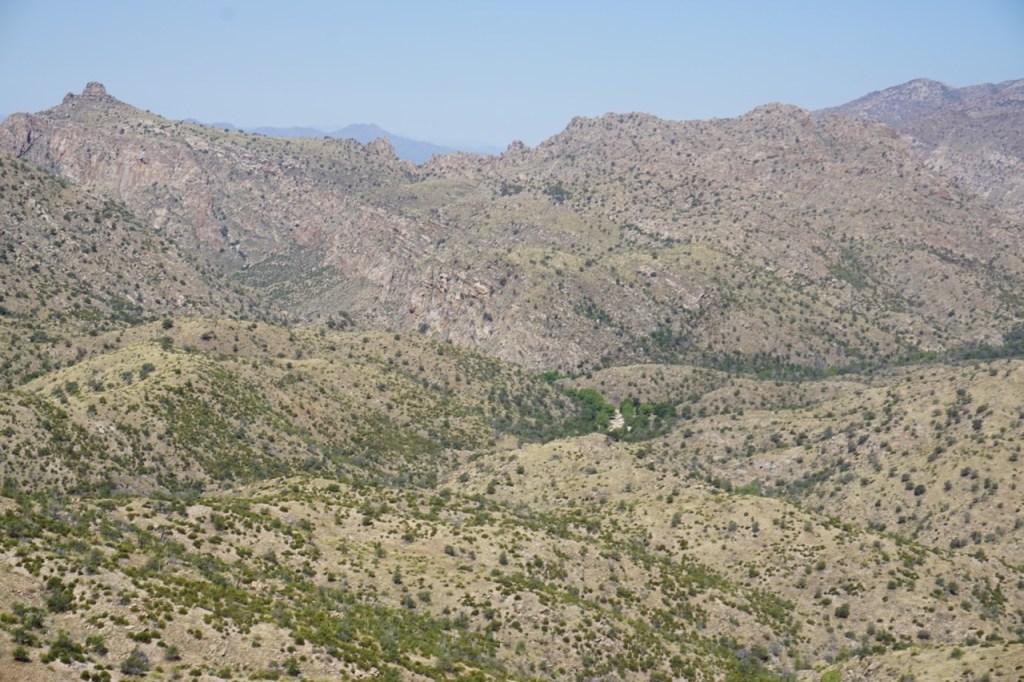 DSLooking for a day trip from Tucson? Mt. Lemmon is a great option.