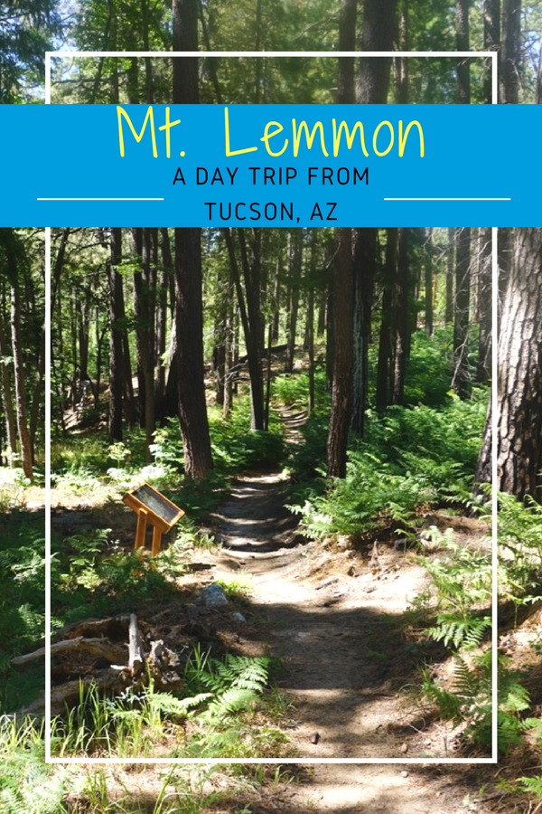 Mt. Lemmon: A Day Trip from Tucson, AZ.