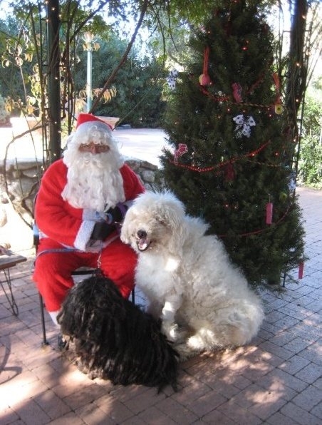 Botanical Gardens Merlin and Oogie