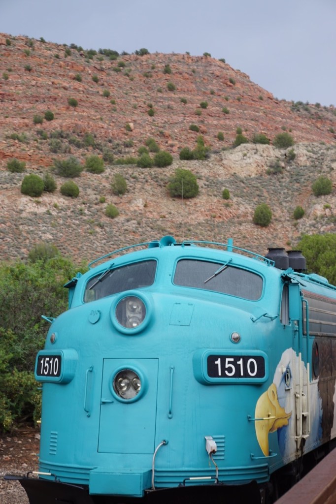 Trains are low pact excursions when going on a vacation with an injured child.