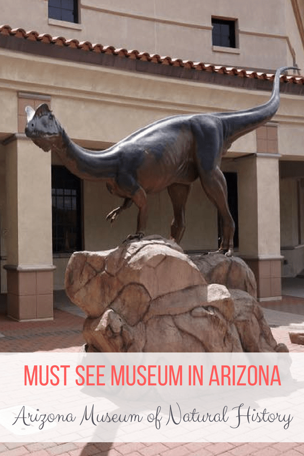 Arizona Museum of Natural History: A Must See Museum in Arizona.