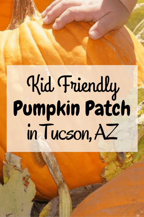 The Marana Pumpkin Patch near Tucson is very kid friendly.