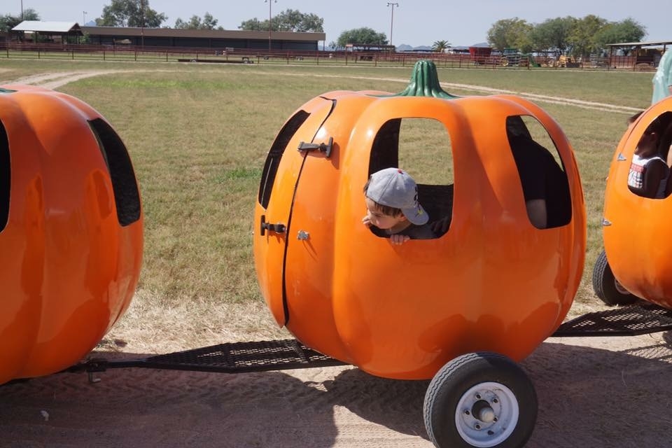 The pumpkin train ride is another reason why the Marana Pumpkin Patch is kid friendly.