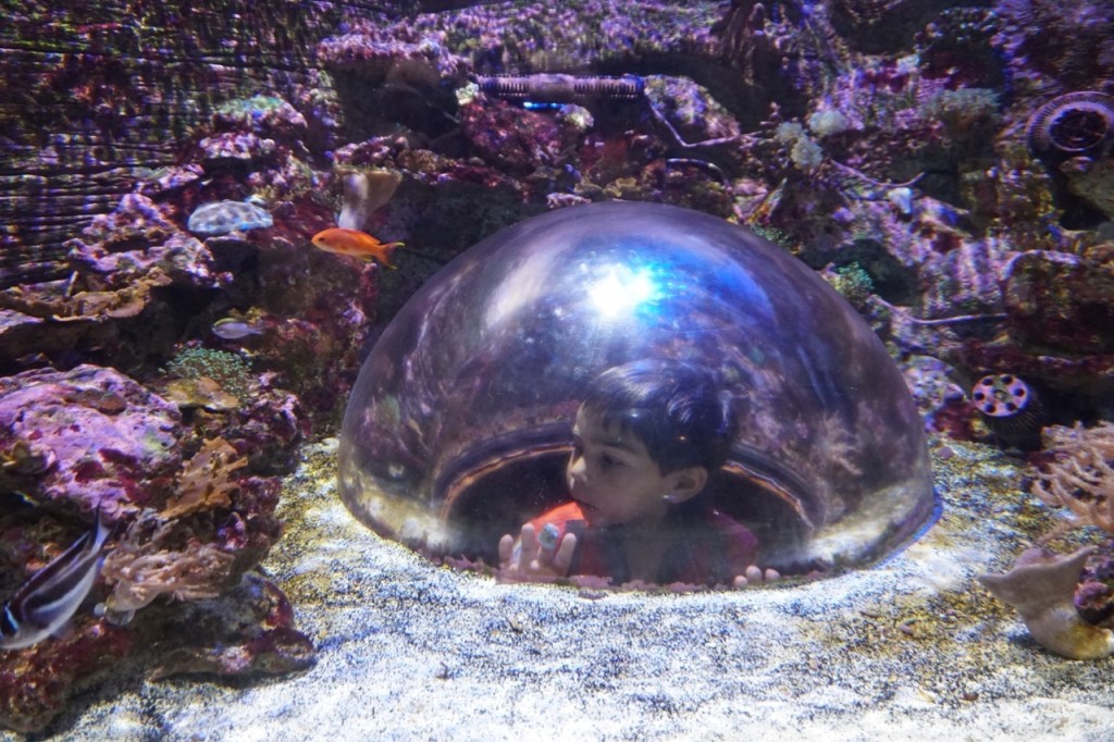 The astronaut is underwater!