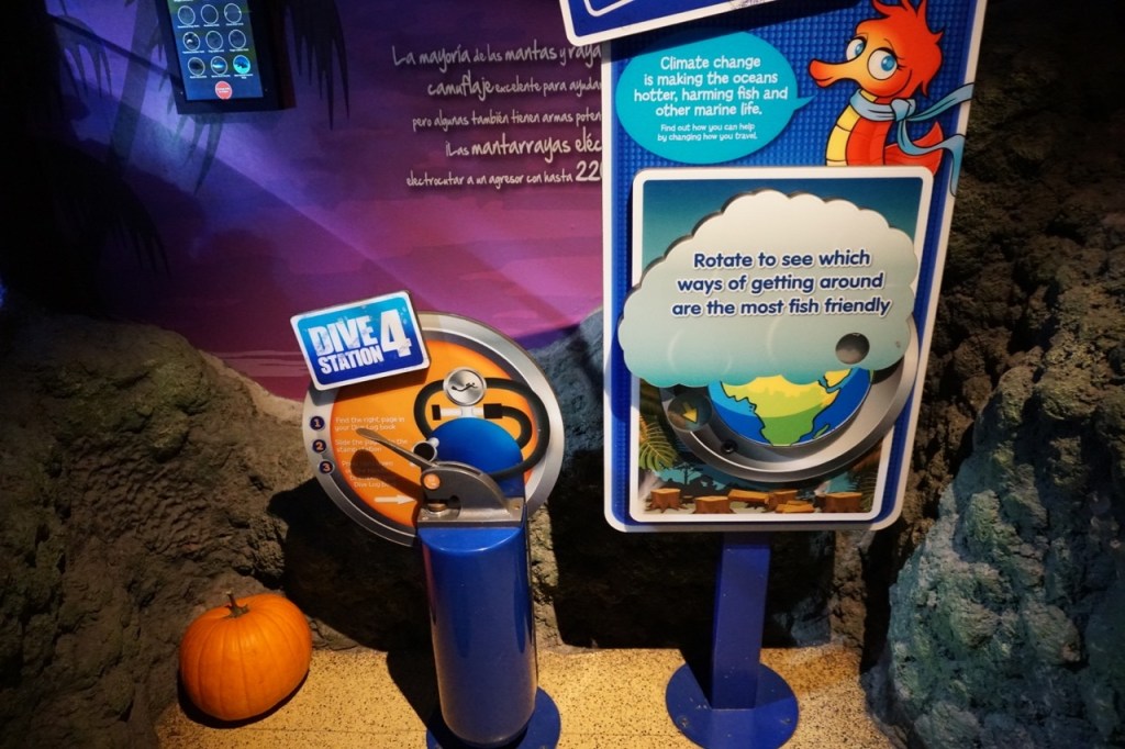 We made sure to collect all of the stamps at the various dive stations so our son could receive a medal at the end :)