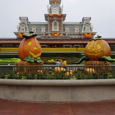 6 Tips for Disney World in a Day
