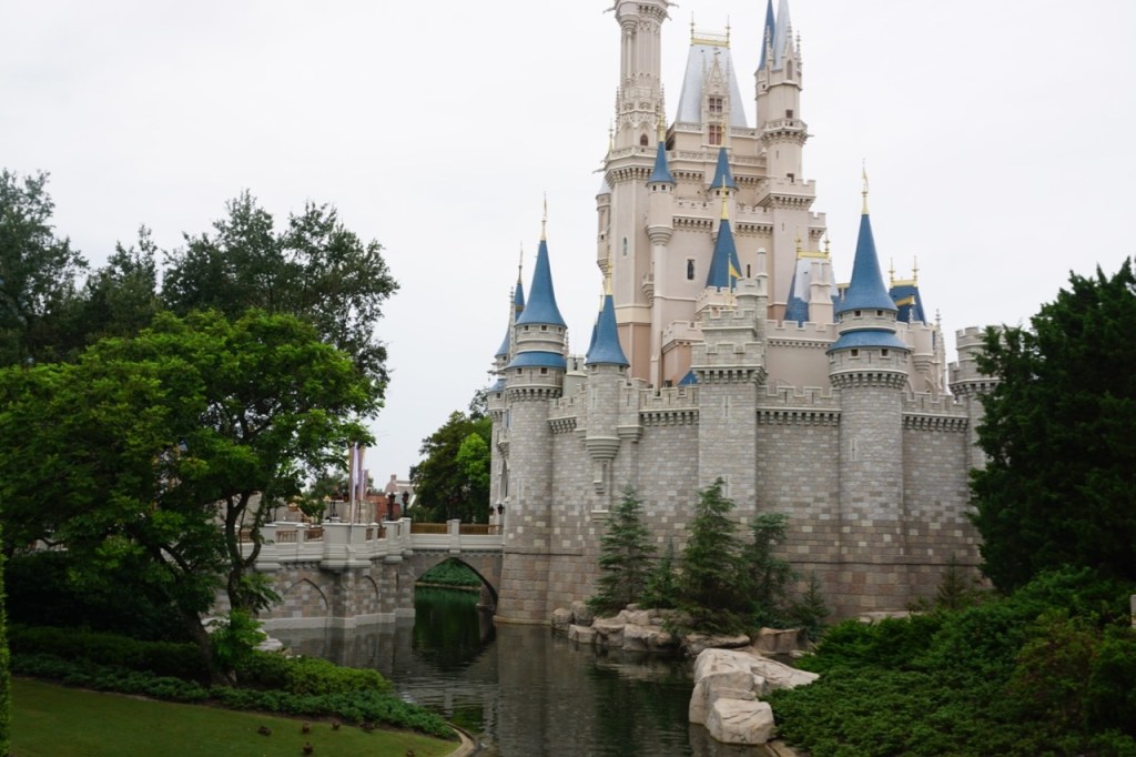 Tips for Disney World in a Day!