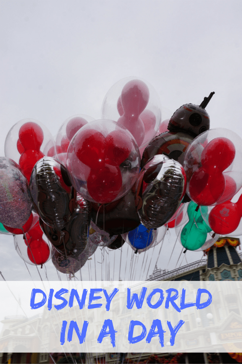 Tips for Disney World in a Day!