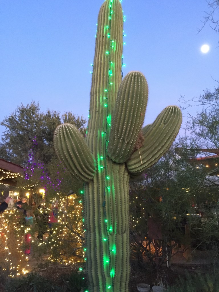 Holiday Lights at Tohono Chul Park in Tucson, Arizona is absolutely beautiful to experience in person.