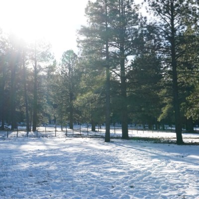 A Winter Weekend Getaway from Tucson:  Fun in Flagstaff, Arizona!