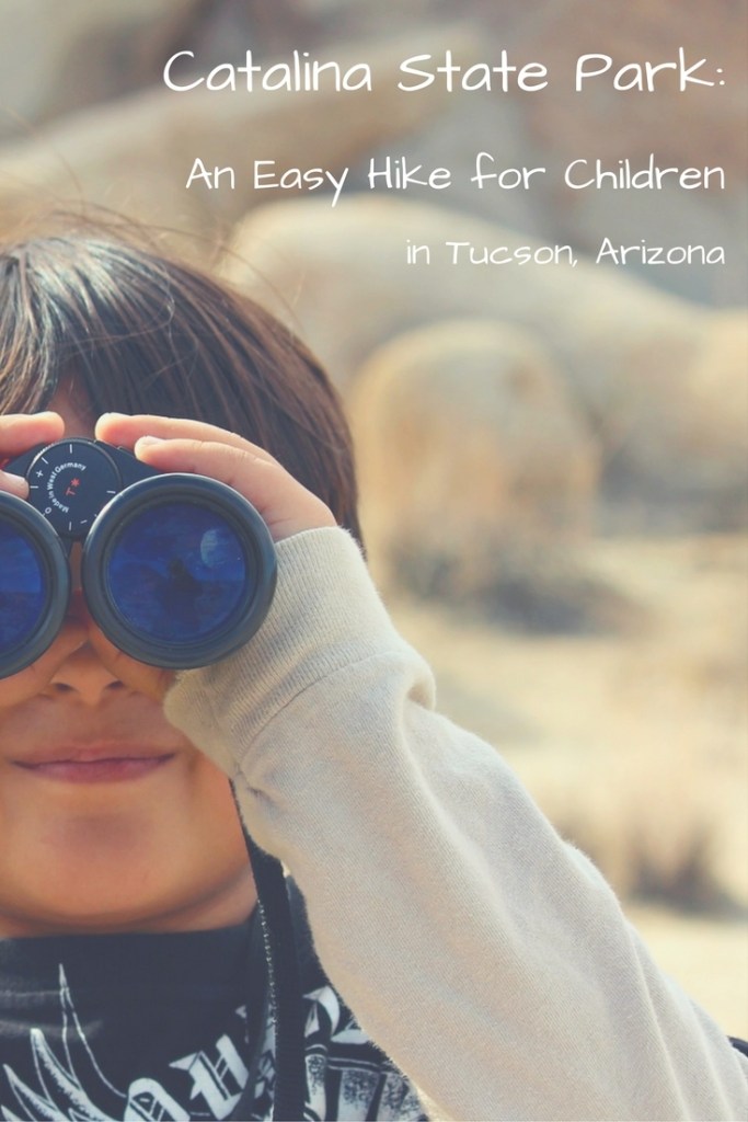 Catalina State Park: An Easy Hike for Children in Tucson, Arizona