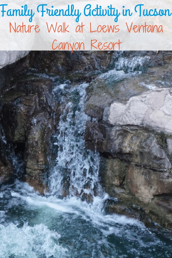 A family friendly activity in Tucson: Nature Walk at Loews Ventana Canyon Resort