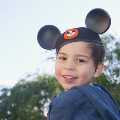 Walt Disney World or Bust!