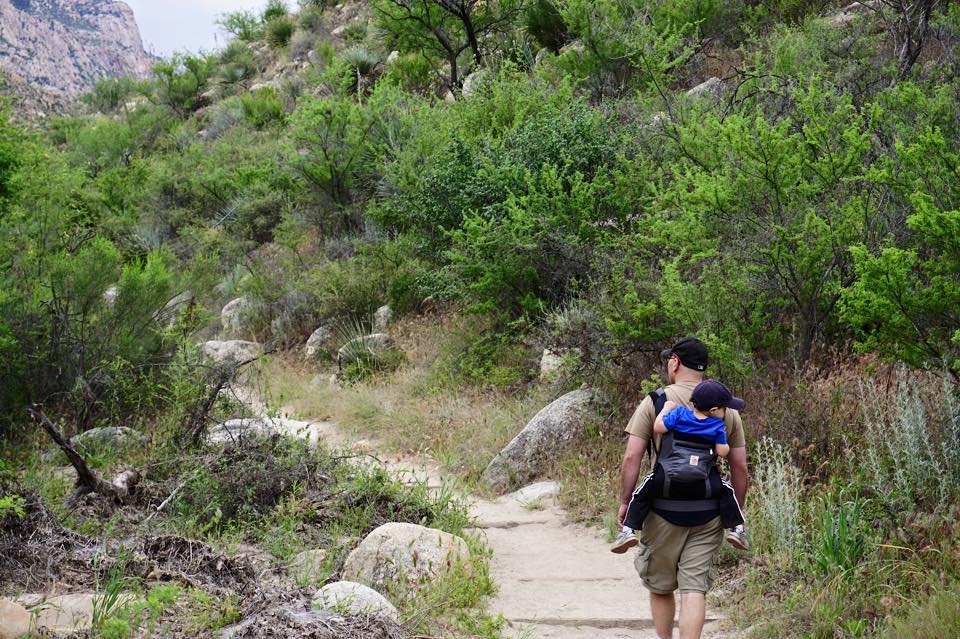 The Canyon Loop Trail at Catalina State Park is a favorite hike of ours.