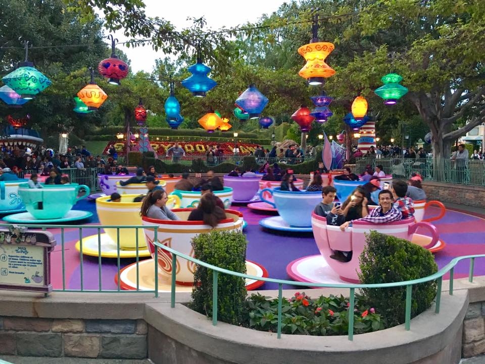 One of the best rides for toddlers at Disneyland? The teacups. Photo by Caroline Knowles.