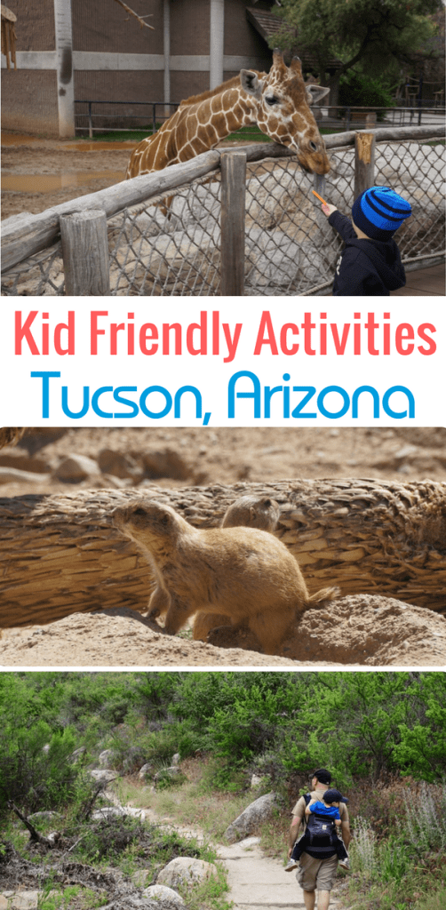 Whether you live in Tucson and you're looking for kid friendly activities, or you're planning a trip to Tucson, you won't find a shortage of things to do with kids. Here are 11 kid friendly activities in Tucson, Arizona, including a zoo, museums, and hiking trails.