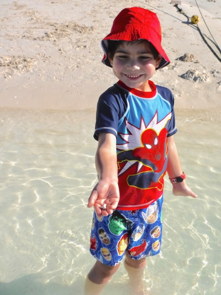 My son loves the beach at Castaway Cay, Disney's Private Island.