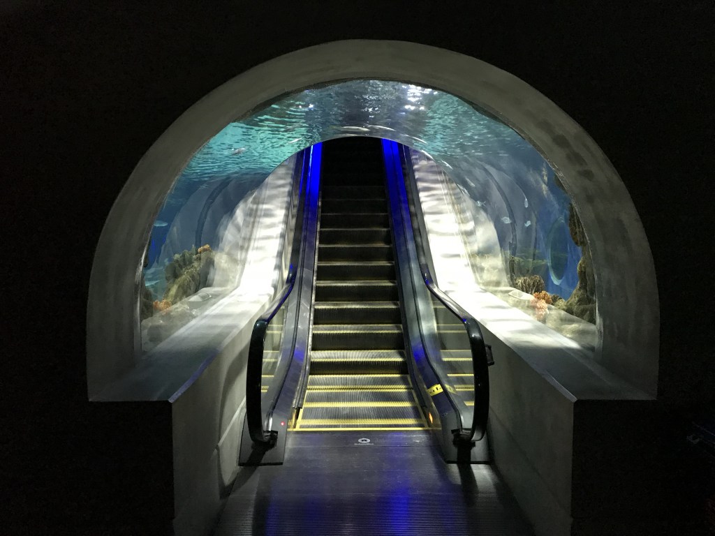 The escalator surrounded by the aquarium is extremely unique.