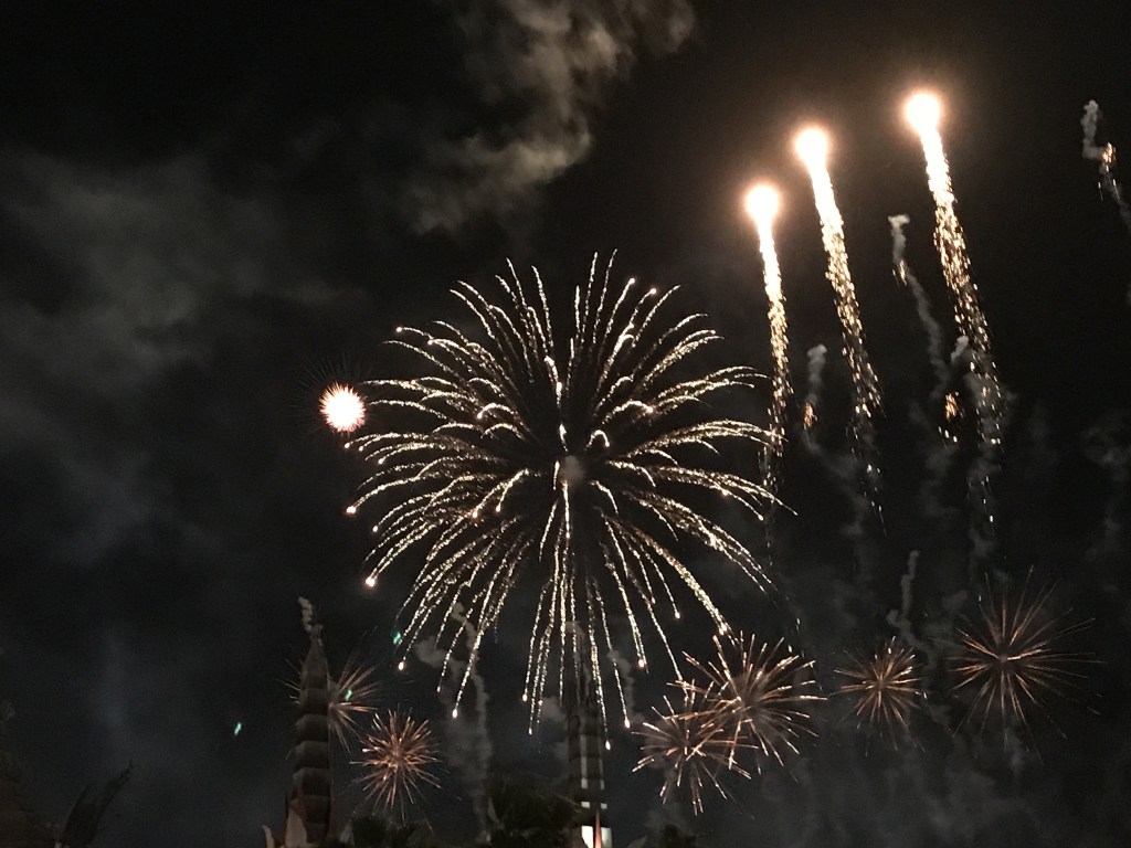 The Star Wars fireworks at Hollywood Studios are a sight to see!