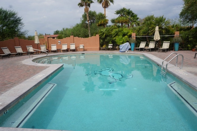 There are several activities available at the White Stallion Ranch, including swimming.