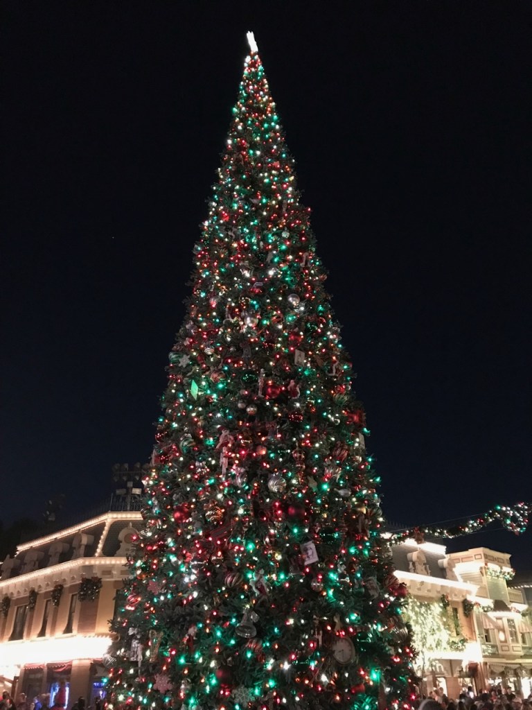 It's hard to miss the tree at Disneyland Park!