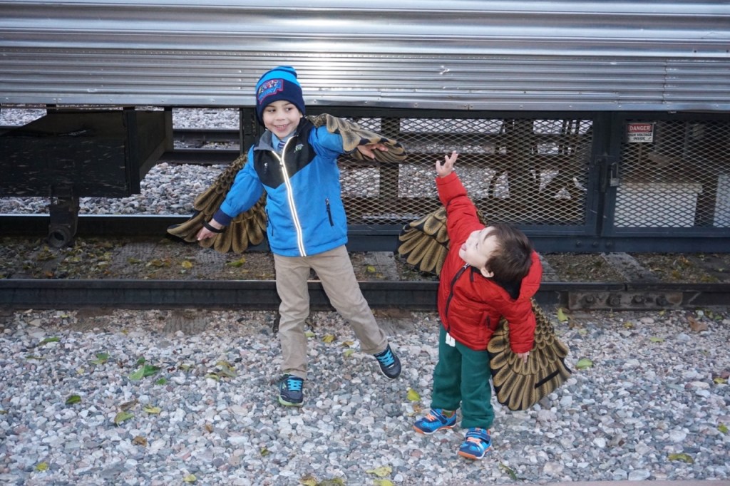 Wings can be purchased in the gift shop and they were a huge hit with my son and his friend!