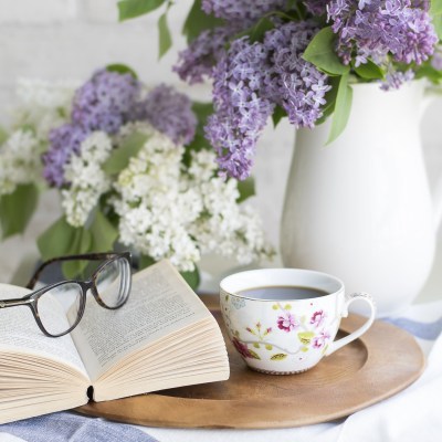February 2019 Book Review:  Where the Crawdads Sing