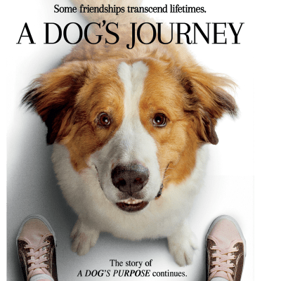 A Dog’s Journey:  A Movie Review