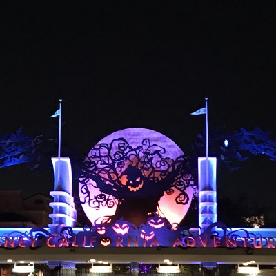 Even travel bloggers make mistakes! Keep reading to find out what mistakes I made at the Oogie Boogie Bash and how you can prevent making the same mistakes!