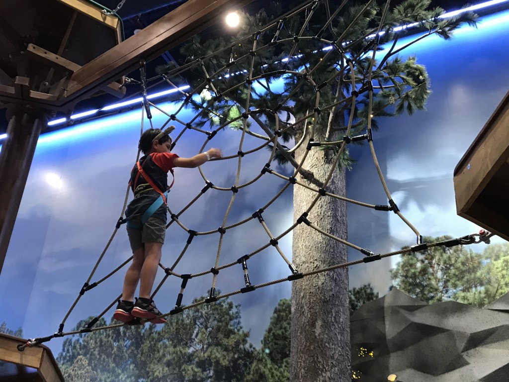 The Ropes Course at Great Wolf Lodge Arizona costs extra but is worth it if you think your child will enjoy it.