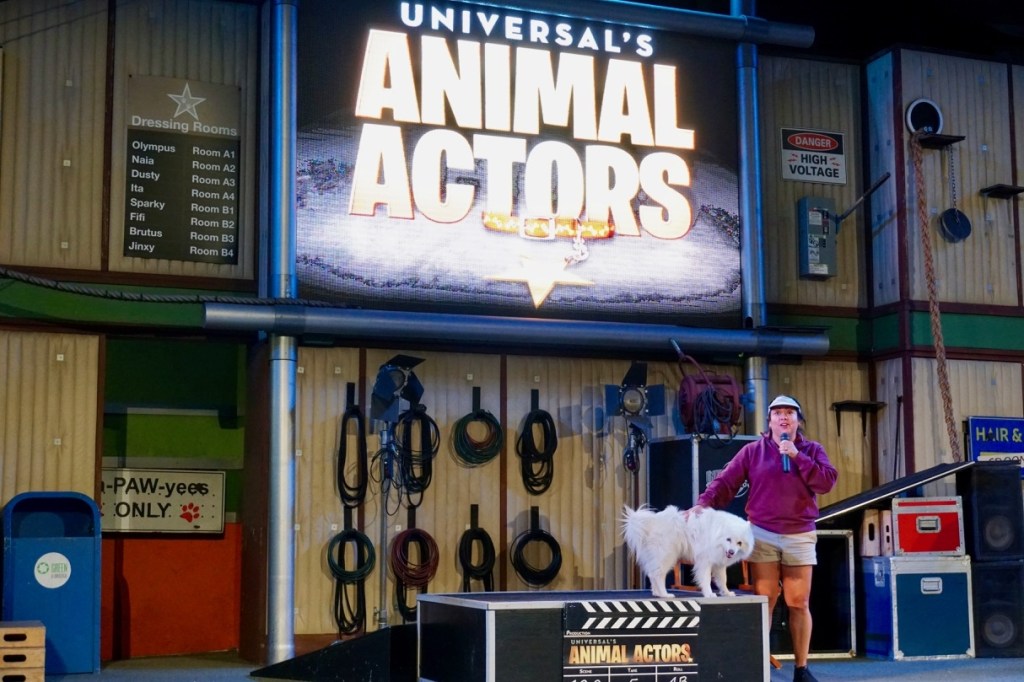 Animal Actors is one of the best attractions for young kids at Universal Studios Hollywood.