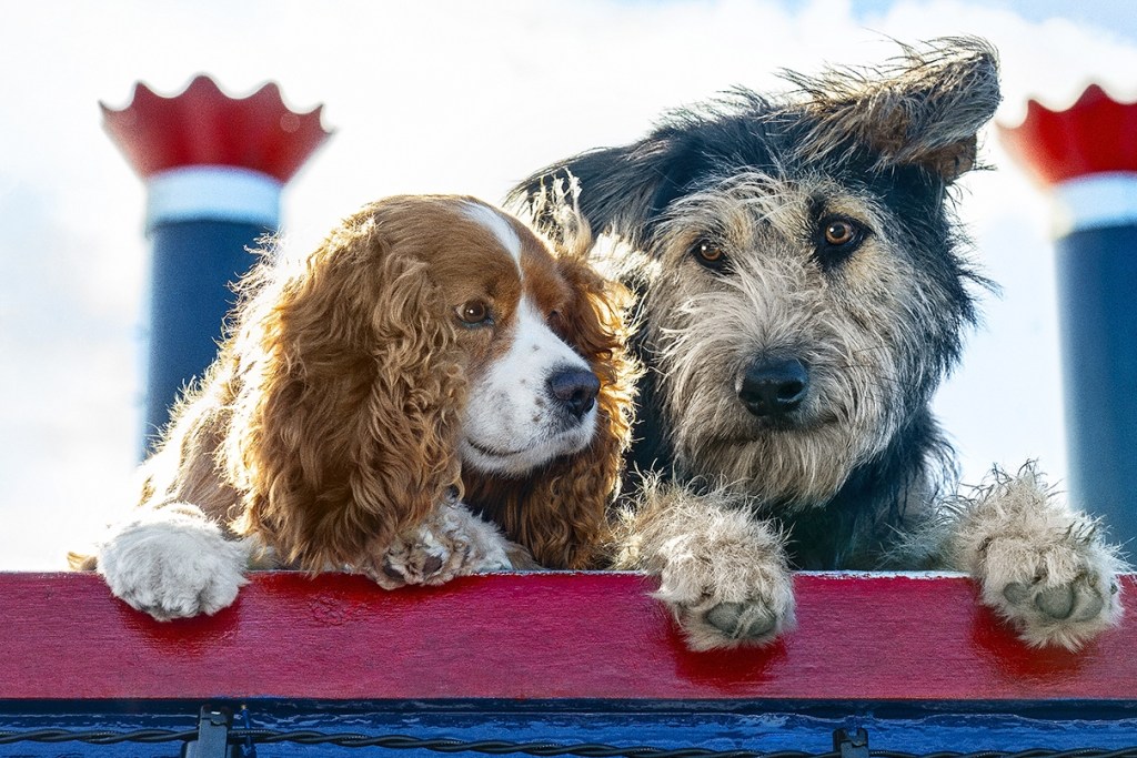 Keep reading for a review of the Lady and the Tramp remake. Photo by Disney Studios.