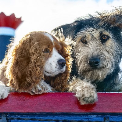 Lady and the Tramp:  A Movie Review