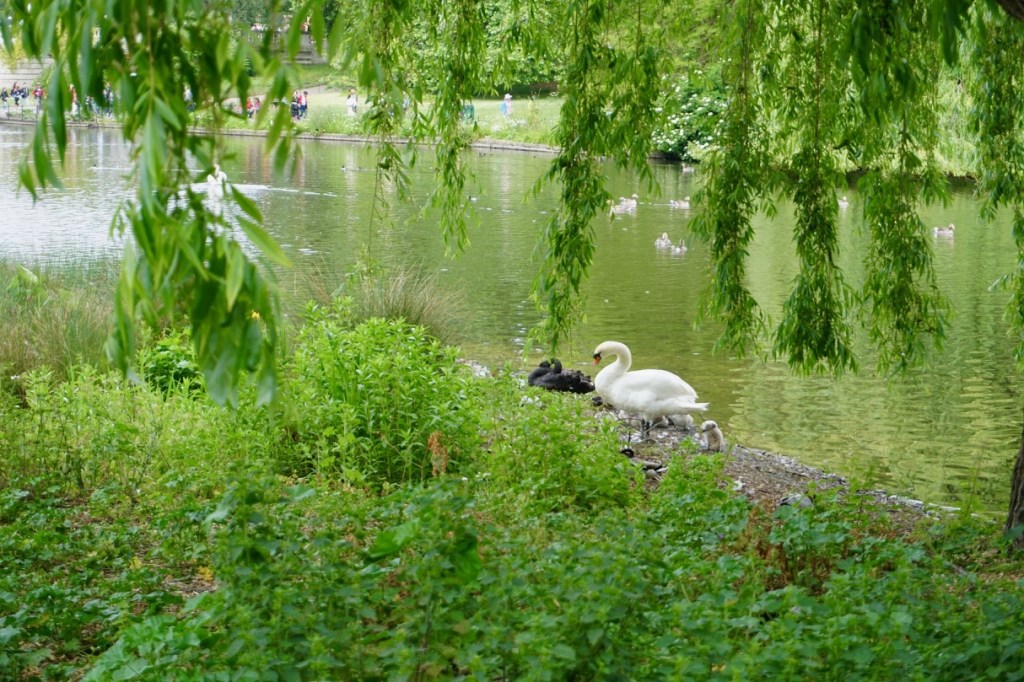 There are several kid friendly parks in London.