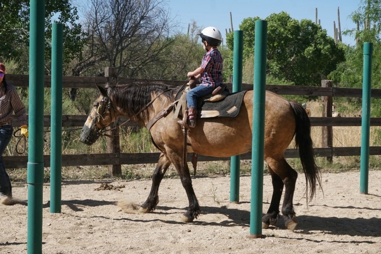 Young kids can be led through an obstacle course during the trail. 