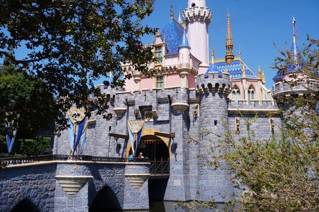 Disneyland in one day - should you do it? Can you do it? I'm answering these questions and more!