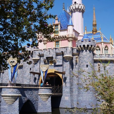 Visiting Disneyland in One Day: Can You, Or Should You Do It?