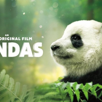 IMAX Documentaries Streaming Exclusively on Hulu (Giveaway)